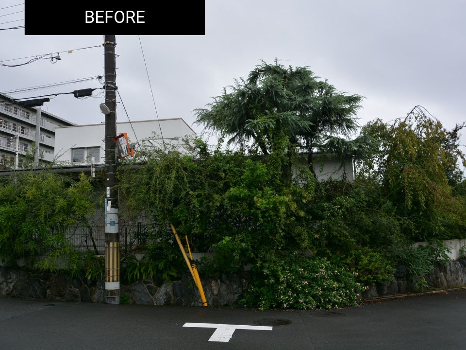 庭木が大きく茂り住宅を覆っている剪定前の庭の写真